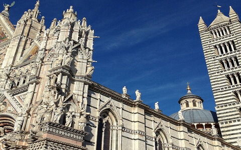 Siena-katedralen og afsløringen af ​​gulvet: en begivenhed, du ikke må gå glip af