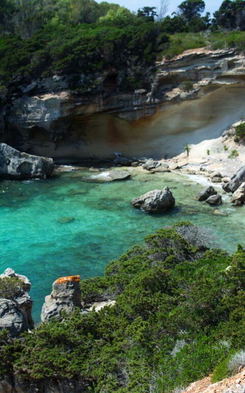 Caribien i Toscana: Øen Pianosa