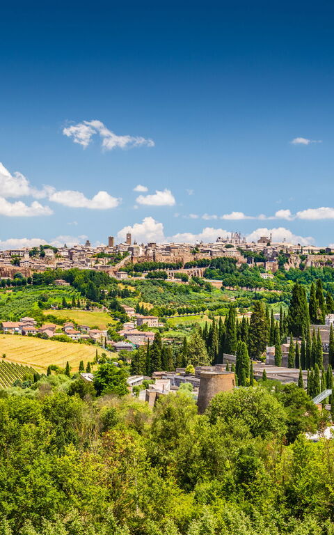 De typiske smage og retter, der skal prøves!