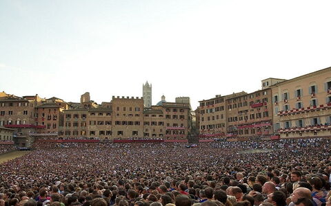 Alt hvad du behøver at vide om Palio Di Siena