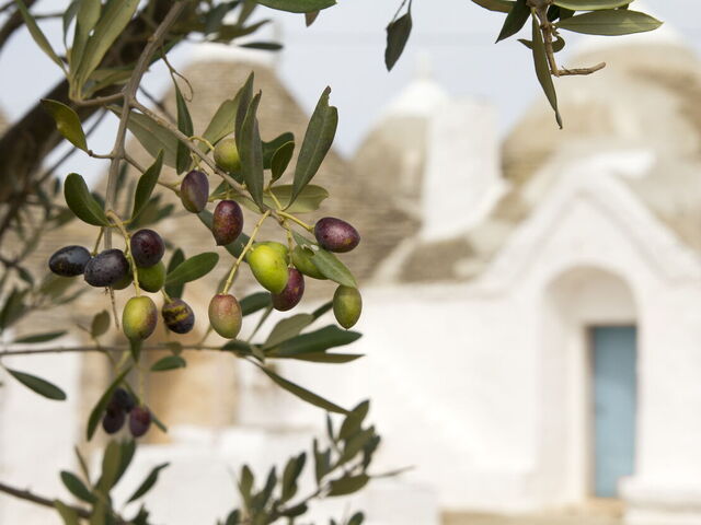 10 traditionelle retter fra Apulien, du ikke vil gå glip af