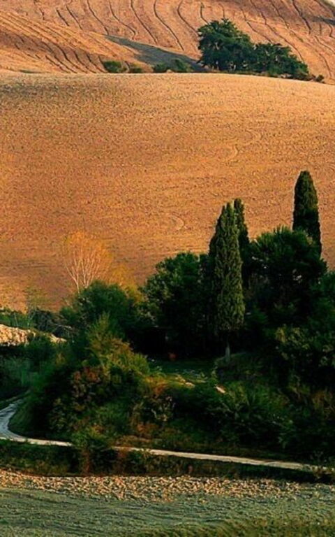 Når naturen opstår: Theatre of Silence