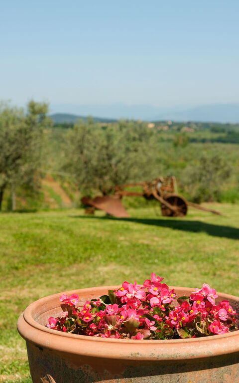 Pozzo Dei Desideri: Have, Udendørs, Udvendige, Visninger