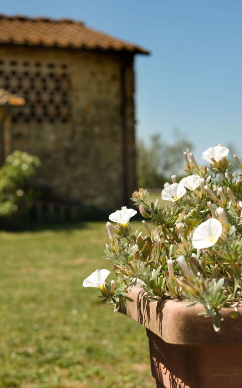 Pozzo Dei Desideri: Have, Udendørs, Udvendige