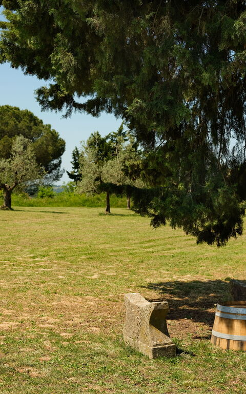 Pozzo Dei Desideri: Have, Udendørs, Udvendige