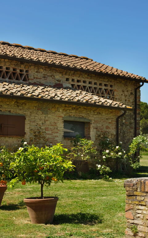 Pozzo Dei Desideri: Have, Udendørs, Udvendige