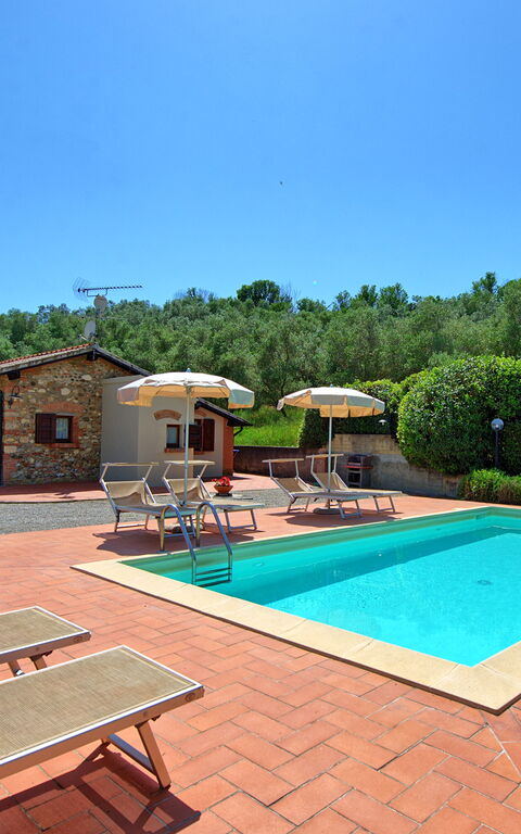 Cuccardino: Have, pool, Udendørs