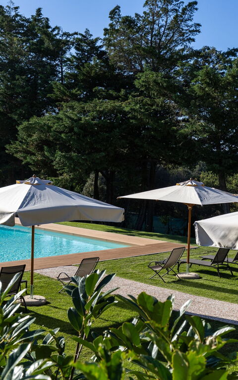 Villa Simone: Have, pool, Udendørs