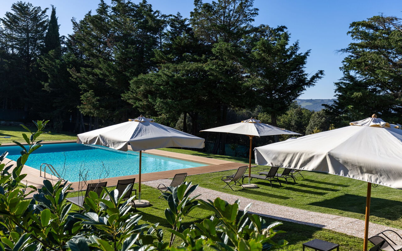 Villa Simone: Have, pool, Udendørs