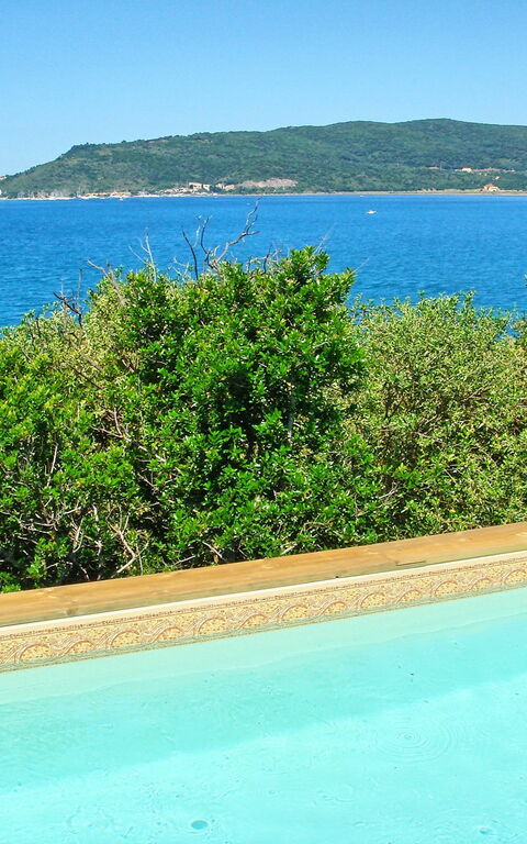 Presidio: Have, pool