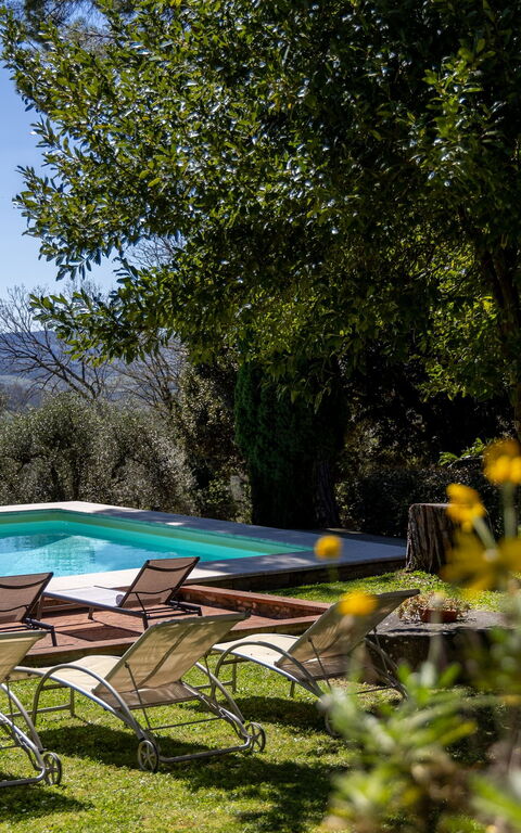 Villa Orchidea: pool, Udendørs