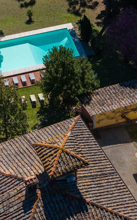 Villa Orchidea: pool, Udendørs