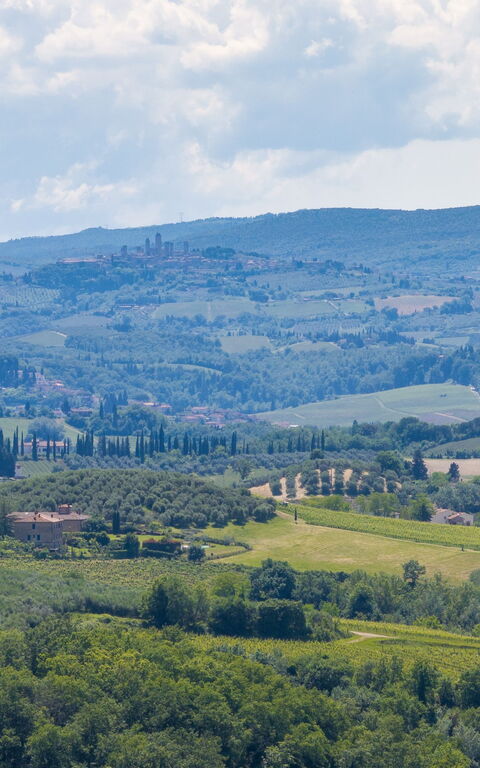 Villa Orchidea: Visninger