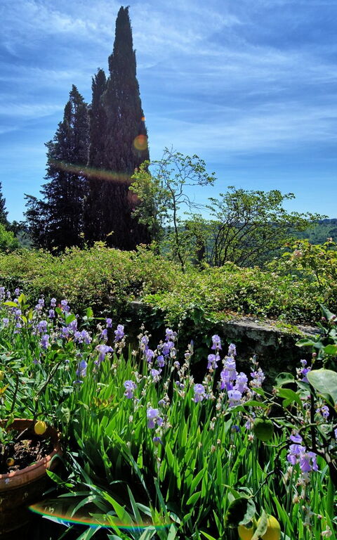 Montegufoni: Have, Visninger