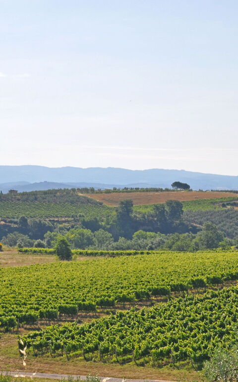 I Glicini: Visninger