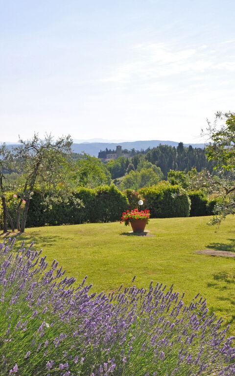 I Glicini: Visninger