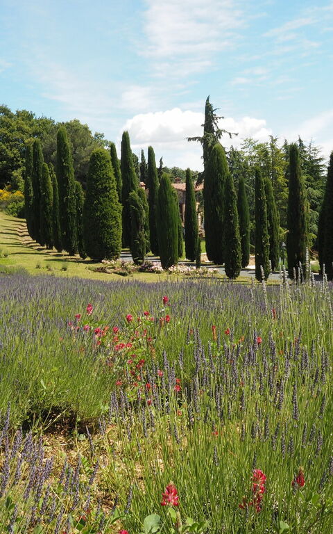 Cornocchio: Visninger