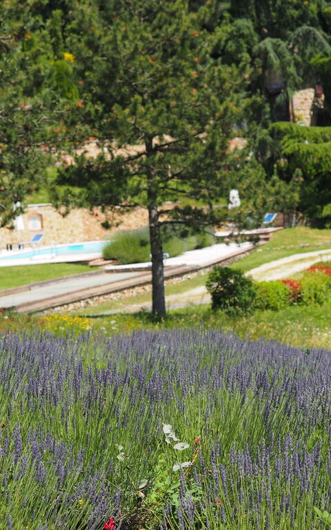 Cornocchio: Visninger