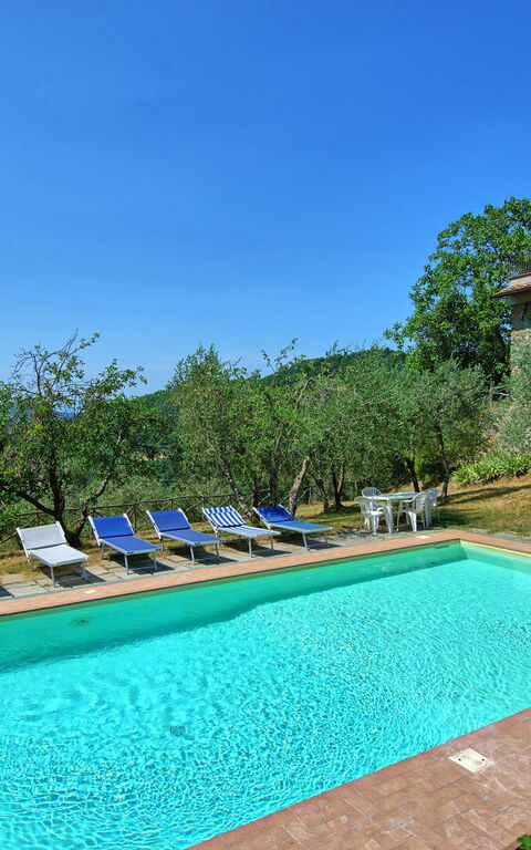 Poggio Conca: pool, Sommer