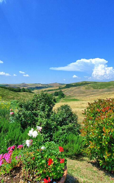 Castelmuzio: Visninger