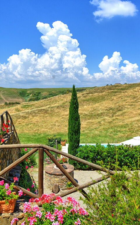 Castelmuzio: Visninger