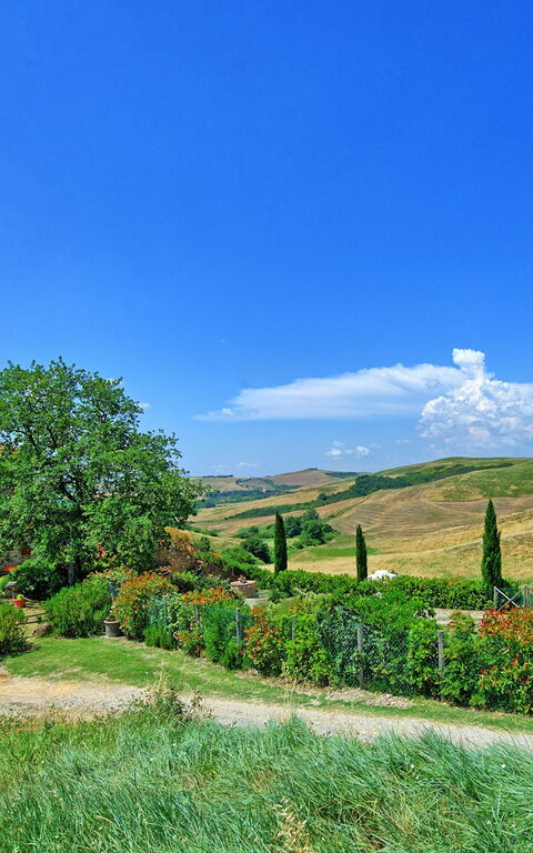 Castelmuzio: Udendørs, Visninger