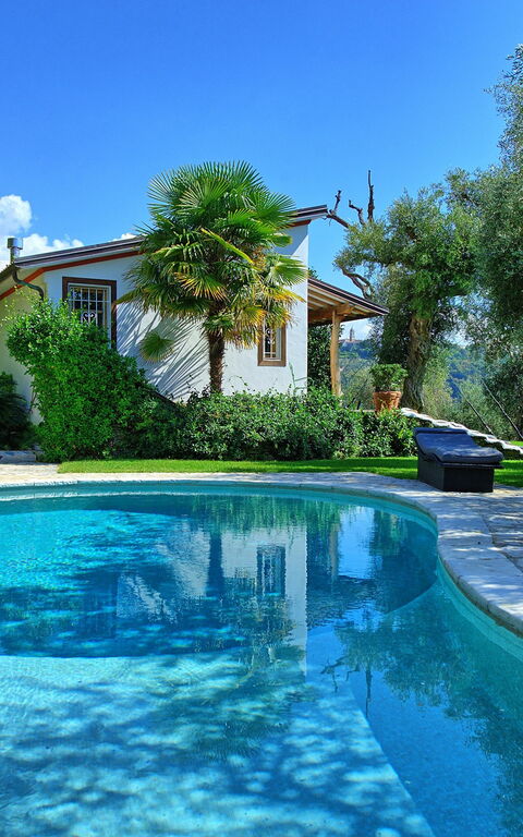 Villa Oliveta: pool, Sommer