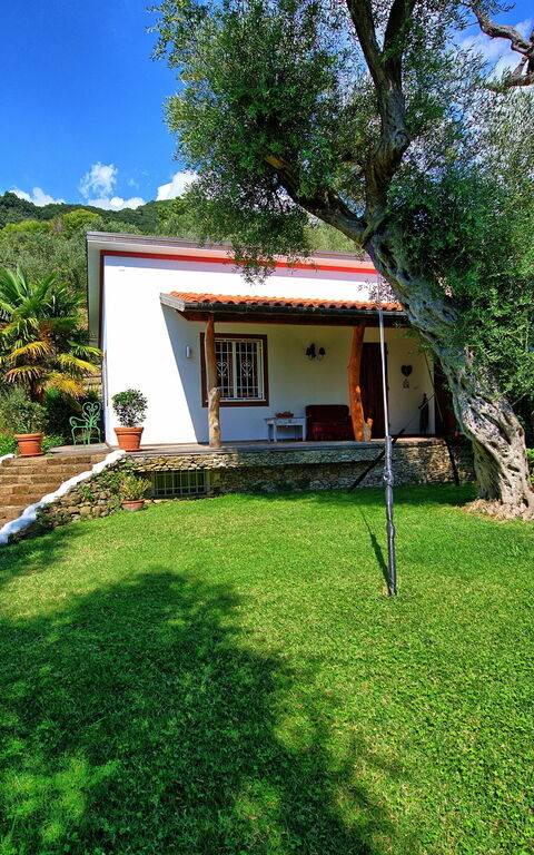 Villa Oliveta: Have, Udendørs