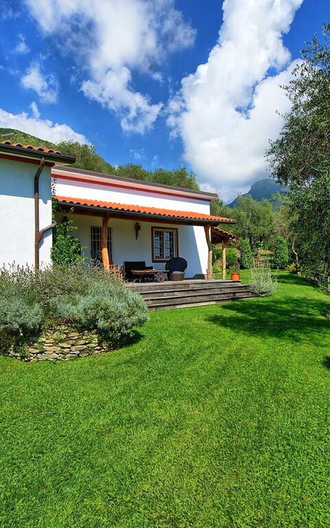 Villa Oliveta: Have, Udendørs