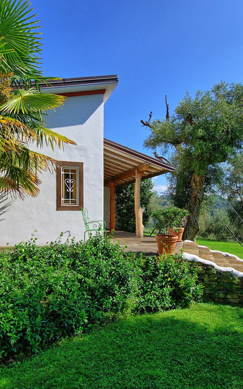 Villa Oliveta: Have, Udendørs