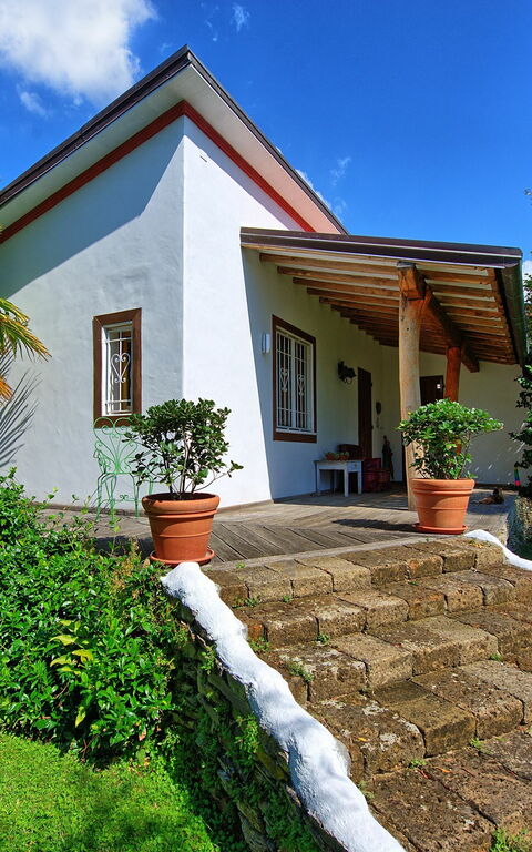 Villa Oliveta: Have, Udendørs