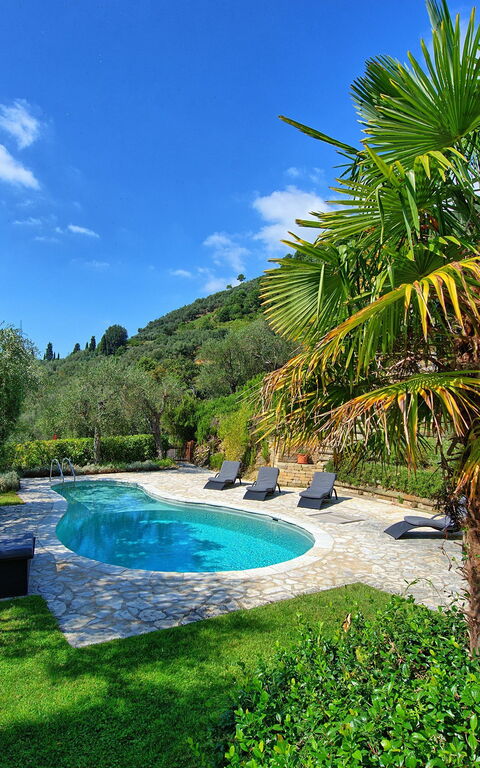 Villa Oliveta: pool