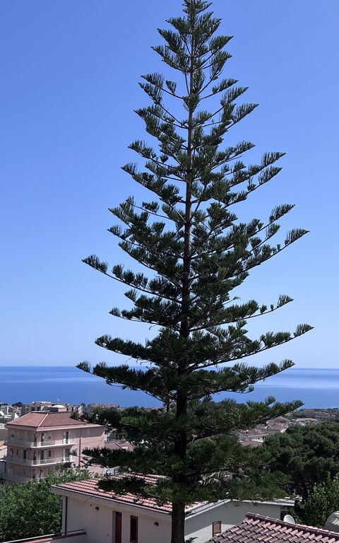 Castellammare: Visninger