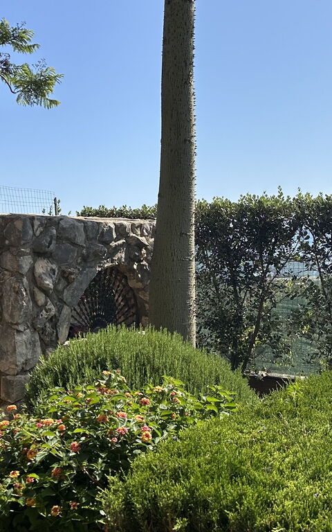 Castellammare: Have, Udvendige