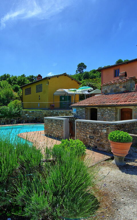 Casa Scopeti: Have, pool, Udvendige