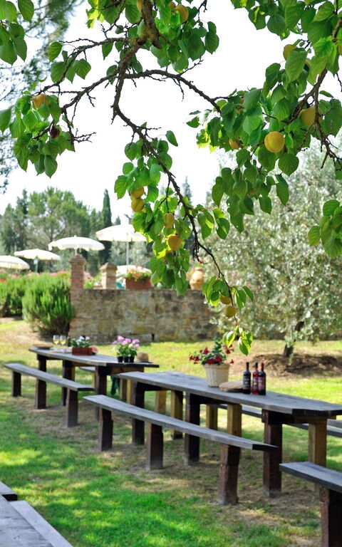 Montelopio: Have, Udendørs