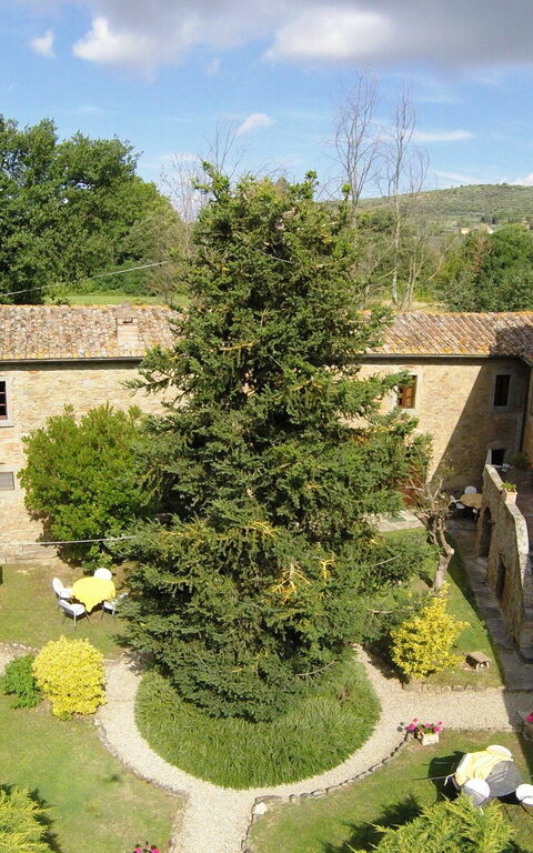 San Pietro: Udendørs, Visninger