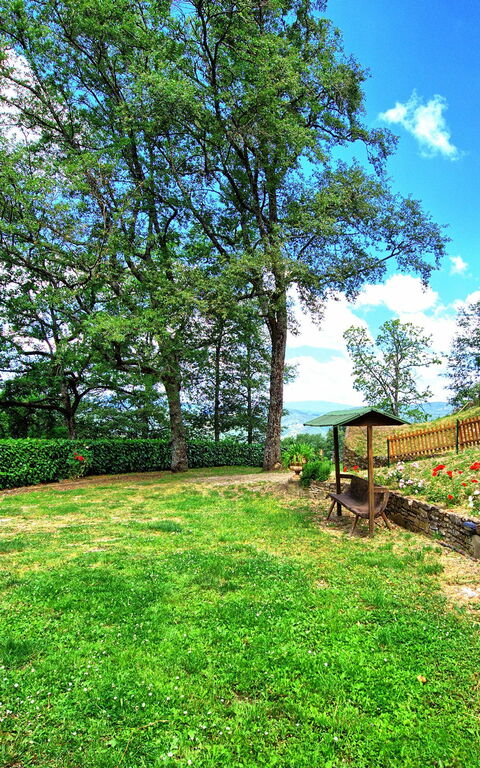 Villa Margherita: Have