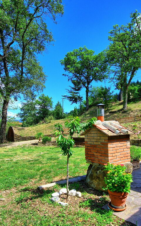 Villa Margherita: Have