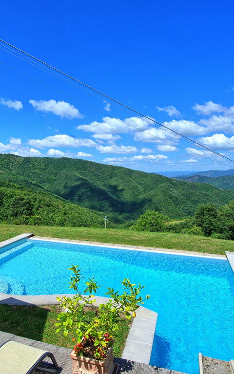 Villa Margherita: Have, pool