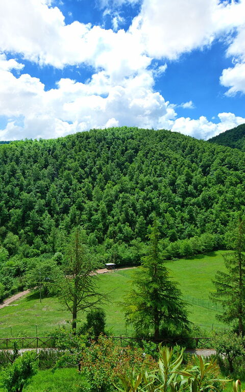 Villa Contessa: Have