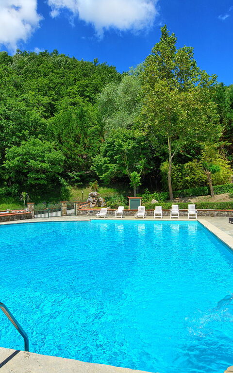 Villa Contessa: pool