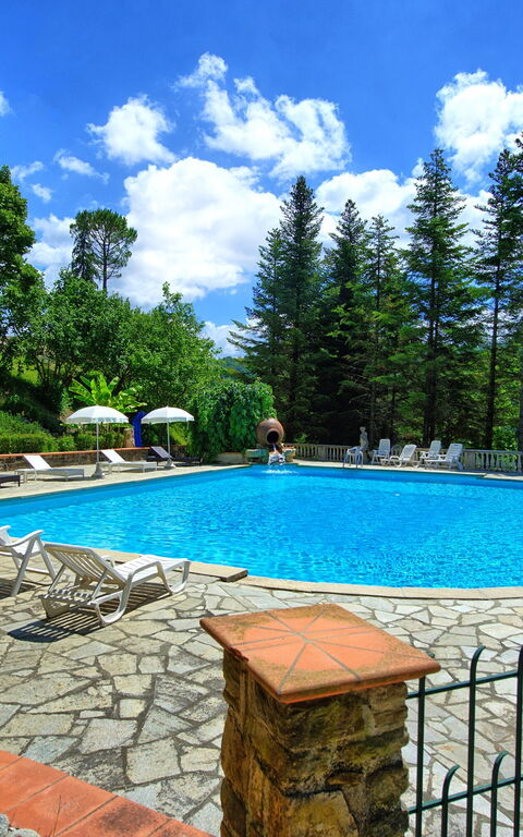 Villa Contessa: pool