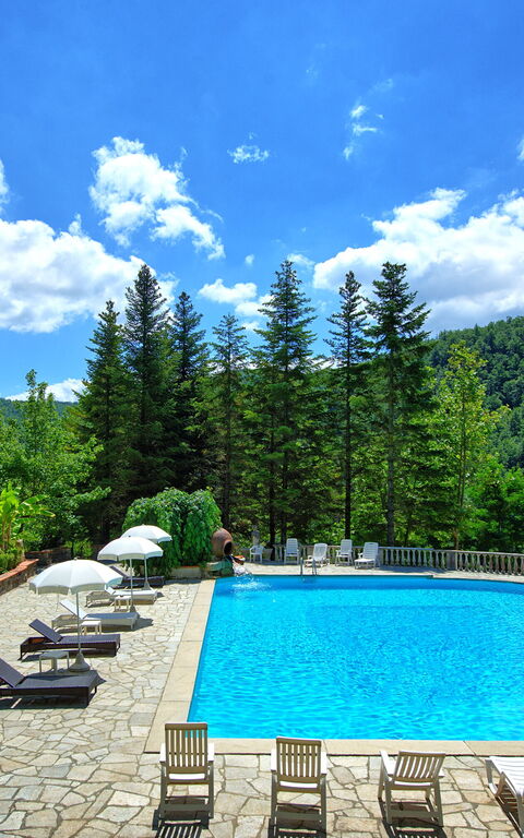 Villa Contessa: pool