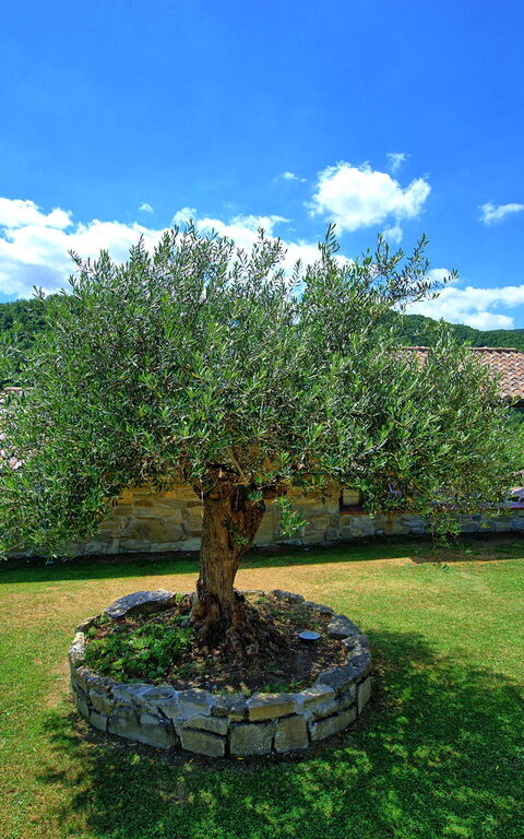 Villa Contessa: Have, Udvendige