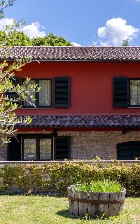 Villa Contessa: Have, Udendørs, Udvendige
