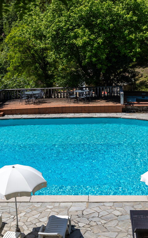 Villa Contessa: pool, Udendørs