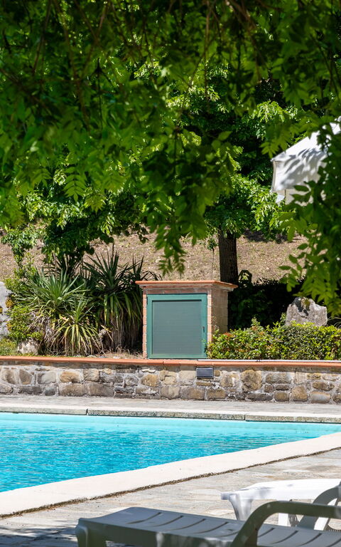 Villa Contessa: Have, pool, Udendørs