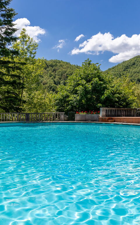Villa Contessa: pool, Udendørs