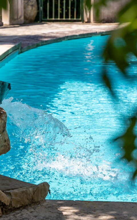 Villa Contessa: pool, Udendørs